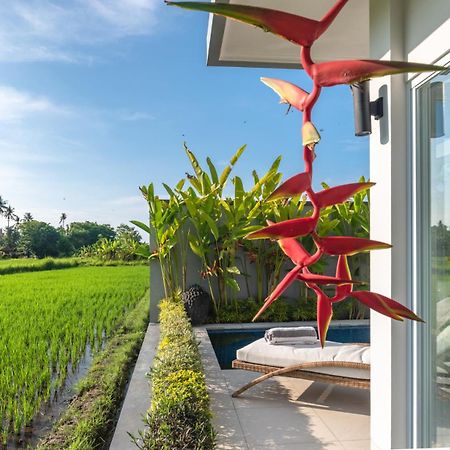 Villa Shiva 罗威那 外观 照片