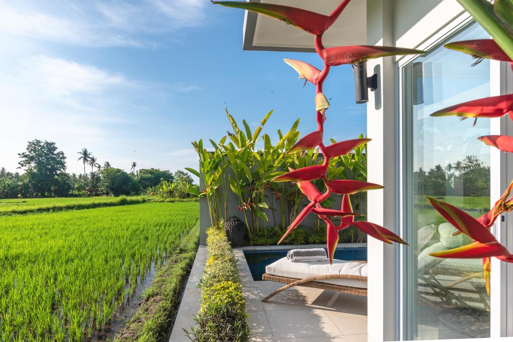 Villa Shiva 罗威那 外观 照片